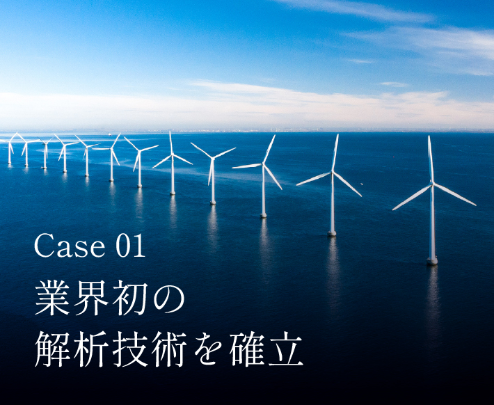 Case 1 Japan 業界初の解析手法を確立